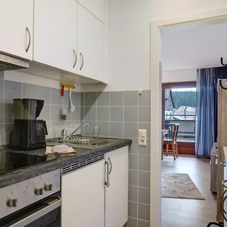 Appartamento Schwarzwaldliebe Mit Pool, Sauna Schönwalde